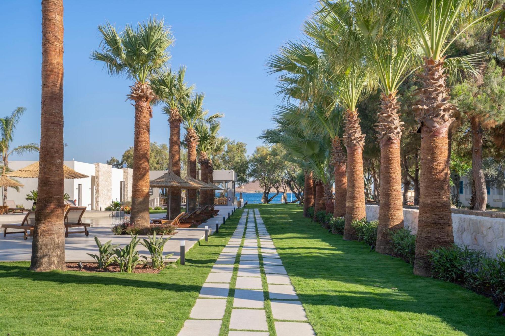 Regia Mare Beach Hotel & Spa Bodrum Ortakent Exterior photo